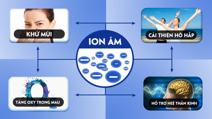 Anion là gì? Vai trò và ứng dụng trong đời sống hàng ngày